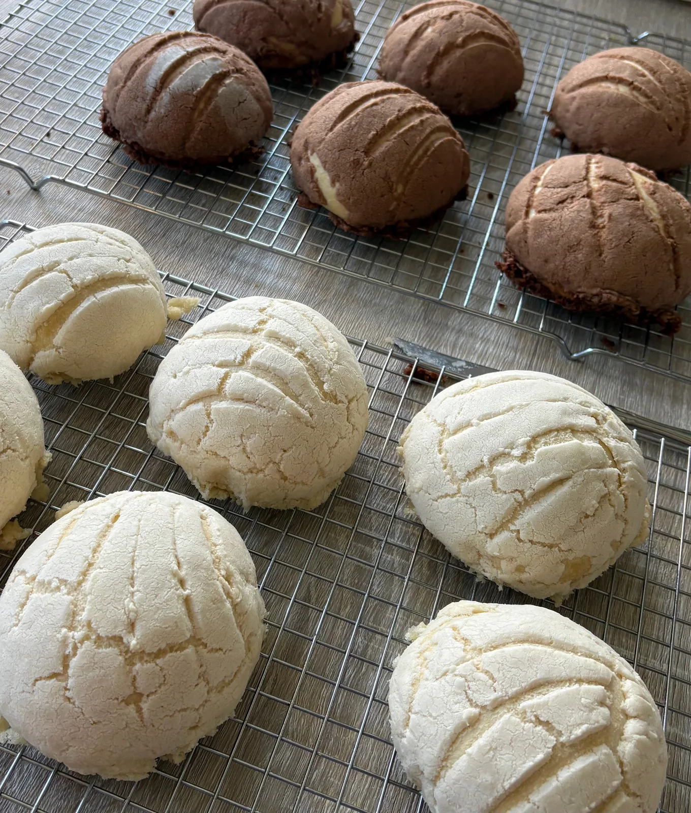Conchas recién horneadas en una rejilla